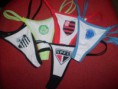 /album/lingerie/calcinhas-de-times-jpg/